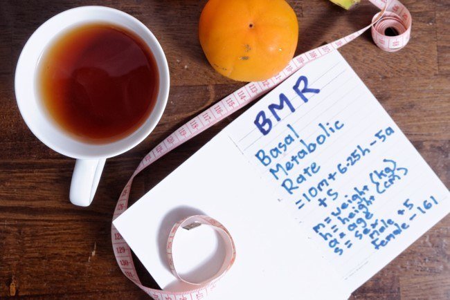 What Is Your Metabolism?