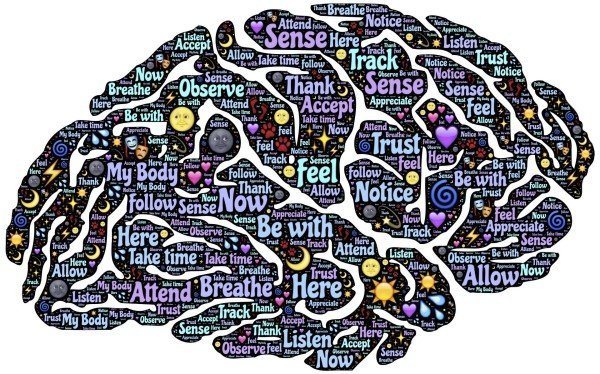TRAIN YOUR BRAIN O EAT LESS
