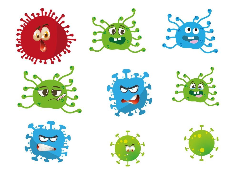 How Does Your Immune System Protect You?