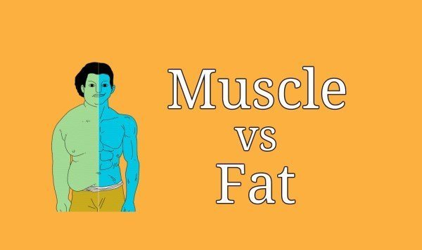 Is muscle heavier than fat?